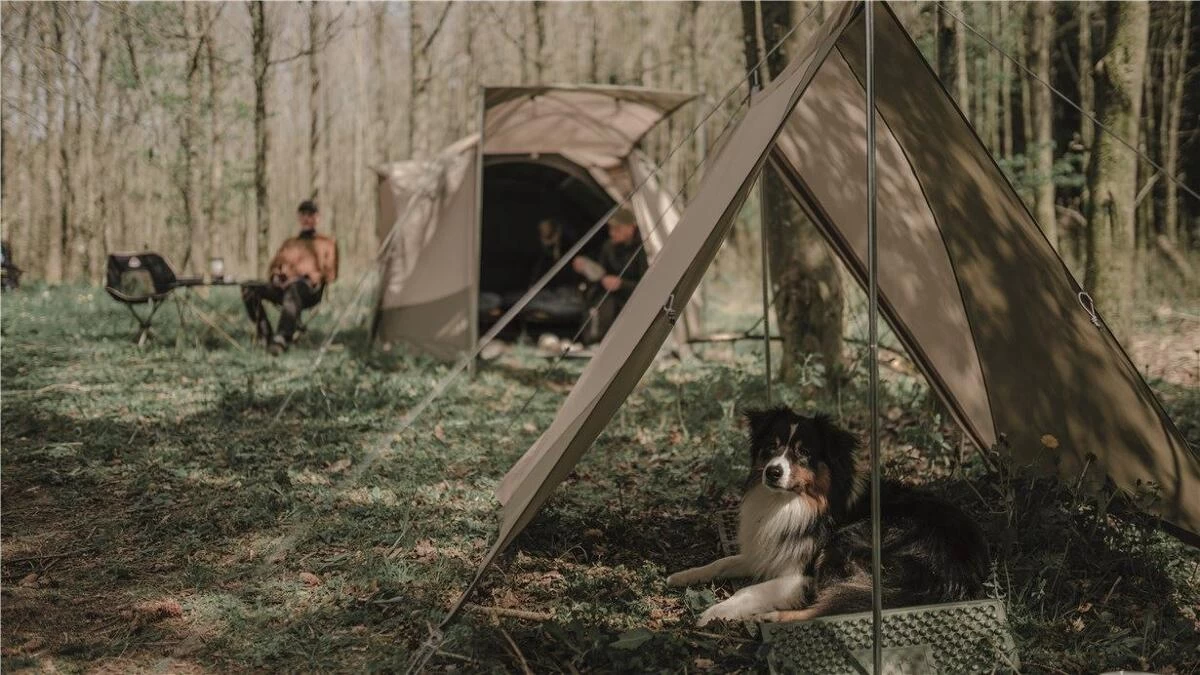 Robens Windscreen Trap, Sandfarben/grün 2 Robens Windscreen Trap, Sandfarben/grün – Bild 2